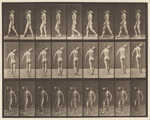 Tafel 31. Gehen, 75-Pfund-Stein auf der rechten Schulter tragend von Eadweard Muybridge