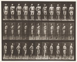 Tafel 354. Waffen tragen, Parade-Ruhe und Waffen schleppen von Eadweard Muybridge