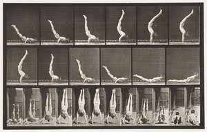 Tafel 372. Akrobat, horizontaler Druck nach oben von Eadweard Muybridge