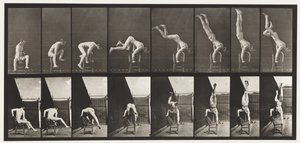 Tafel 373. Akrobat, Druck nach oben vom Stuhl von Eadweard Muybridge