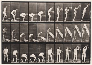 Tafel 382. Einen Baumstamm aufrichten, 1872-1885 von Eadweard Muybridge