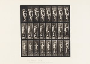 Handziegel eine Leiter hinauftragen von Eadweard Muybridge