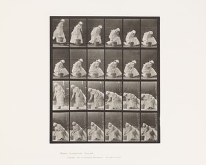 Eimer abstellen und zum Schrubben vorbereiten von Eadweard Muybridge