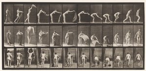 Tafel 439. Einen Teppich auf dem Boden ausbreiten von Eadweard Muybridge