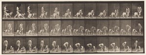 Tafel 449. Einen Hund füttern von Eadweard Muybridge