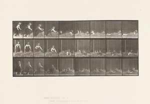 Tafel 455. Sich auf einen Heuhaufen werfen von Eadweard Muybridge