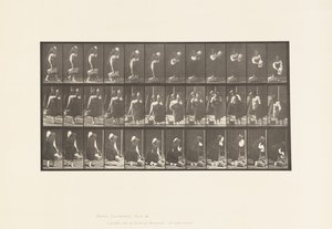 Tafel 460. Krug auf der Schulter und Korb in der Hand tragen, 1885