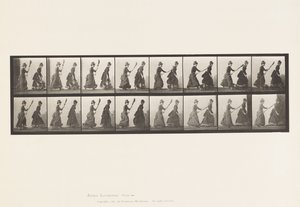 Tafel 464. Zwei Modelle, 16 jagt 4 mit einem Besen, 1885 von Eadweard Muybridge