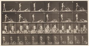 Tafel 485. Zwei Modelle; A, 10 steht und füllt einen Kelch von Eadweard Muybridge
