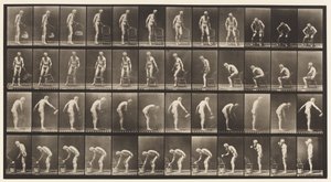 Tafel 490. A, Hinsetzen; B, Hinsetzen; C, Wasser spritzen von Eadweard Muybridge