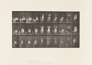 Platte 494. Verschiedene Phasen der Toilette von Eadweard Muybridge