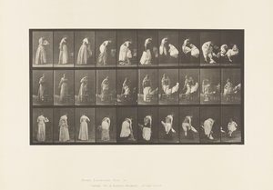 Tafel 497. Verschiedene Phasen der Toilette, 1885 von Eadweard Muybridge