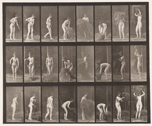 Tafel 499. Heu rechen und packen von Eadweard Muybridge