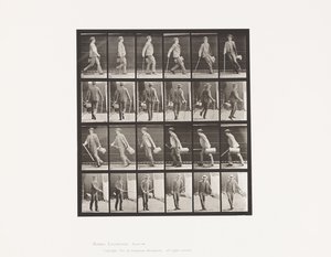 Tafel 49. Gehen und sich schnell umdrehen von Eadweard Muybridge