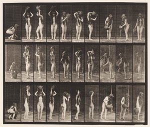Tafel 500. Verschiedene Bewegungen mit einem Wasserkrug von Eadweard Muybridge