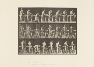 Tafel 507. Zimmermannsarbeit von Eadweard Muybridge