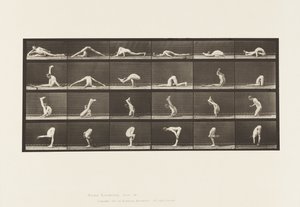 Tafel 510. Verrenkungen auf dem Boden, 1872-1885