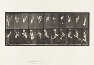 Tafel 512. Verrenkungen an Ringen von Eadweard Muybridge