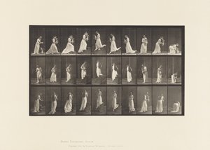 Treppen auf- und absteigen von Eadweard Muybridge