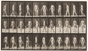 Tafel 51. Gehen und sich umdrehen, Gießkanne benutzen, 1872-1885 von Eadweard Muybridge