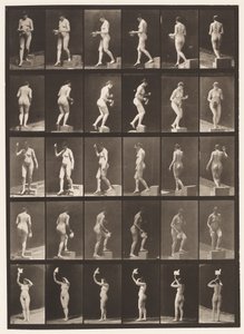 Tafel 525. A, Stufe hinabsteigen; B, Stufe hinaufsteigen, 1872-1885 von Eadweard Muybridge