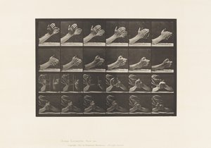Tafel 533. Bewegung der Hand; Hände falten von Eadweard Muybridge