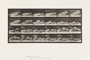 Platte 536. Bewegung der Hand; Hände wechseln Bleistift von Eadweard Muybridge