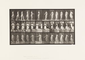 Tafel 53. Gehen, Blumen streuen und Drehbewegung von Eadweard Muybridge