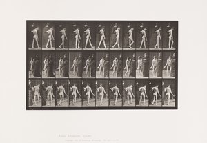 Platte 541. Multiple zerebrospinale Sklerose (Choreisch); Gehen von Eadweard Muybridge