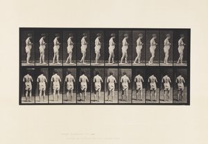 Tafel 542. Multiple Zerebrospinale Sklerose - Gehen von Eadweard Muybridge