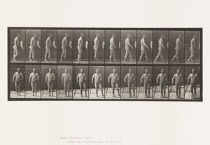 Tafel 552. Hemiplegie; Gehen mit Stock, 1885 von Eadweard Muybridge
