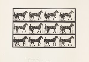 Tafel 588. Gehen; Sulky; Braunes Pferd Reuben von Eadweard Muybridge