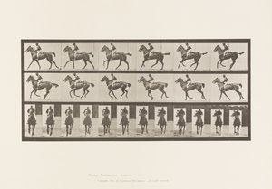 Tafel 621. Kanter; Sattel; Vollblut Braune Stute Annie 6 von Eadweard Muybridge