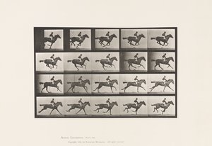 Tafel 627. Galopp; Vollblut-Braune Stute Annie G. von Eadweard Muybridge