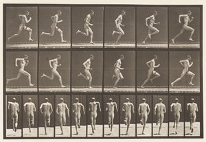 Tafel 62. Laufen mit voller Geschwindigkeit von Eadweard Muybridge