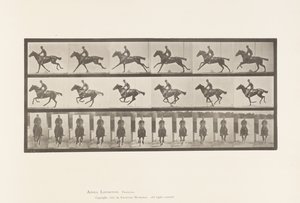 Tafel 631. Galopp; Sattel; Vollblut Braunes Pferd Bouquet von Eadweard Muybridge