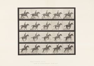 Tafel 636. Hürdensprung; Sattel; Vorbereitung auf den Sprung von Eadweard Muybridge