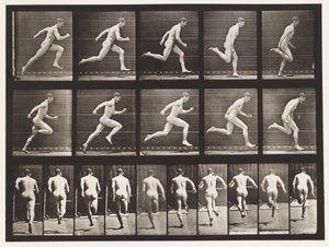 Tafel 63. Laufen mit voller Geschwindigkeit von Eadweard Muybridge
