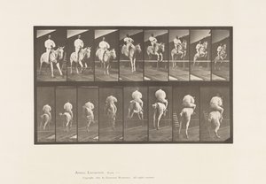 Tafel 644. Ein Hindernis überspringend; Sattel; Überwinden und Landen von Eadweard Muybridge