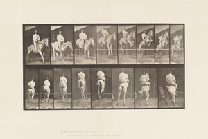 Tafel 645. Springen über ein Hindernis; Sattel; Überwinden und Landen von Eadweard Muybridge