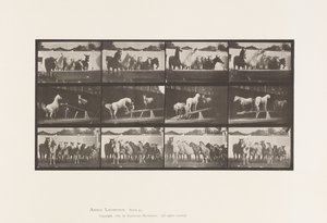 Tafel 651. A, Glockenläuten; B, Wippe; C, Militärübung von Eadweard Muybridge