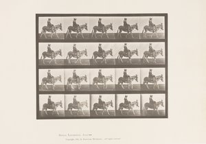 Tafel 666. Esel; Gehend; Sattel; Ein Mädchen reitend, Zoo von Eadweard Muybridge