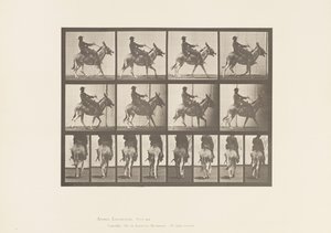 Tafel 668. Esel; Passgang; Sattel; Ein Junge Reitend, Zoo von Eadweard Muybridge