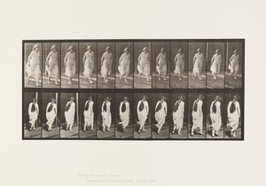 Laufen von Eadweard Muybridge