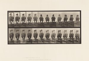 Tafel 741. Baktrisches Kamel; A, Laufend; B, Passgang von Eadweard Muybridge