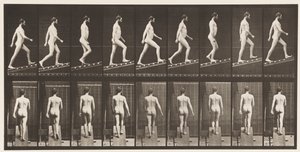Tafel 75. Steigung hinaufsteigen, Winkel 1 zu 4, 1872-1885 von Eadweard Muybridge