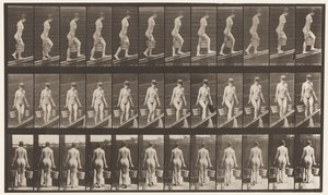 Tafel 82. Steigung hinaufsteigen, Eimer Wasser in jeder Hand von Eadweard Muybridge