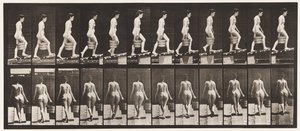 Tafel 83. Steigung hinaufsteigen, Eimer Wasser in der rechten Hand von Eadweard Muybridge