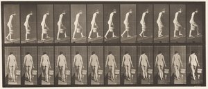 Tafel 84. Steigung hinaufsteigen, Eimer Wasser in der rechten Hand von Eadweard Muybridge