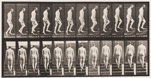 Tafel 89. Treppensteigen